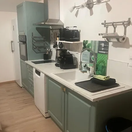 公寓 Loft De Montagne Tranquilite Et Confort Thollon-les-Memises